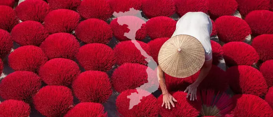 A man in a hat is standing in a field of red flowers.